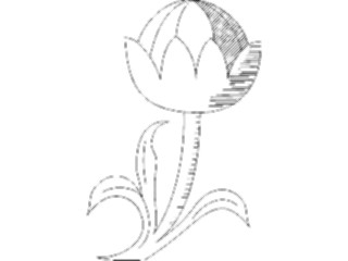 Sticker Custom Preview Image #103371 Plants Flowers Flowers Flower161