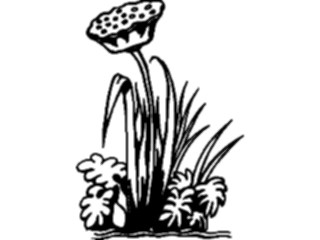 Sticker Custom Preview Image #103383 Plants Flowers Flowers Flower173