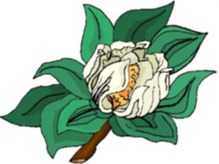 Sticker Custom Preview Image #103418 Plants Flowers Flowers Flower208