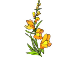 Sticker Custom Preview Image #103419 Plants Flowers Flowers Flower209