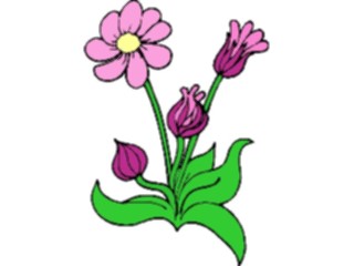 Sticker Custom Preview Image #103421 Plants Flowers Flowers Flower211