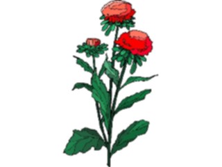 Sticker Custom Preview Image #103422 Plants Flowers Flowers Flower212