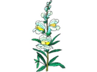 Sticker Custom Preview Image #103423 Plants Flowers Flowers Flower213