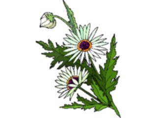 Sticker Custom Preview Image #103424 Plants Flowers Flowers Flower214