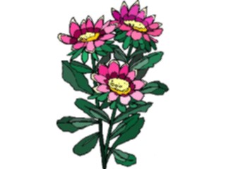 Sticker Custom Preview Image #103425 Plants Flowers Flowers Flower215