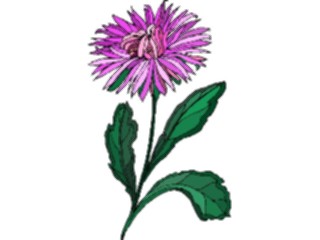 Sticker Custom Preview Image #103428 Plants Flowers Flowers Flower218