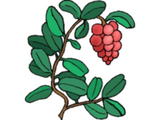 Sticker Custom Preview Image #103430 Plants Flowers Flowers Flower220