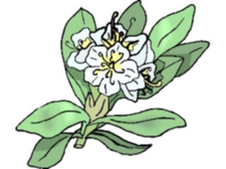 Sticker Custom Preview Image #103431 Plants Flowers Flowers Flower221