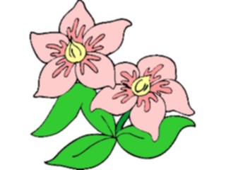 Sticker Custom Preview Image #103432 Plants Flowers Flowers Flower222