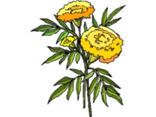 Sticker Custom Preview Image #103434 Plants Flowers Flowers Flower224