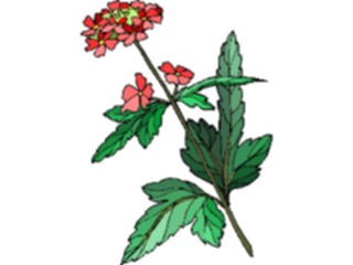 Sticker Custom Preview Image #103437 Plants Flowers Flowers Flower227