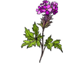 Sticker Custom Preview Image #103447 Plants Flowers Flowers Flower237