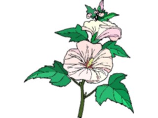 Sticker Custom Preview Image #103452 Plants Flowers Flowers Flower242