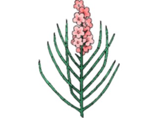 Sticker Custom Preview Image #103458 Plants Flowers Flowers Flower248