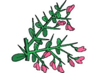 Sticker Custom Preview Image #103460 Plants Flowers Flowers Flower250