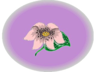 Sticker Custom Preview Image #103462 Plants Flowers Flowers Flower252
