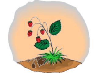 Sticker Custom Preview Image #103463 Plants Flowers Flowers Flower253