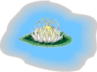 Sticker Custom Preview Image #103464 Plants Flowers Flowers Flower254