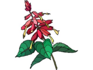 Sticker Custom Preview Image #103471 Plants Flowers Flowers Flower261