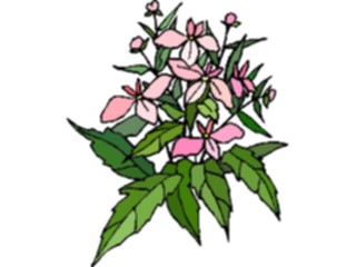 Sticker Custom Preview Image #103475 Plants Flowers Flowers Flower265