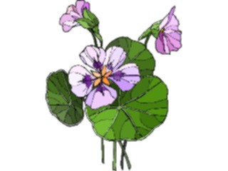 Sticker Custom Preview Image #103477 Plants Flowers Flowers Flower267