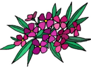 Sticker Custom Preview Image #103479 Plants Flowers Flowers Flower269