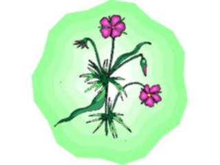 Sticker Custom Preview Image #103484 Plants Flowers Flowers Flower274