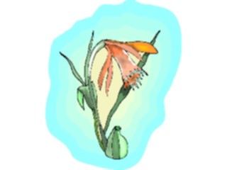 Sticker Custom Preview Image #103485 Plants Flowers Flowers Flower275