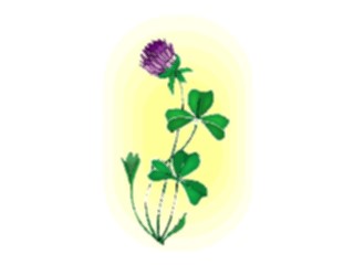 Sticker Custom Preview Image #103486 Plants Flowers Flowers Flower276