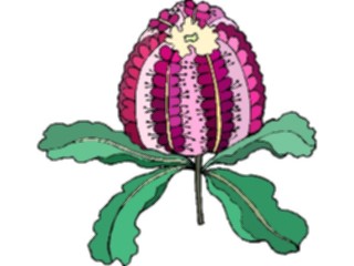 Sticker Custom Preview Image #103488 Plants Flowers Flowers Flower278