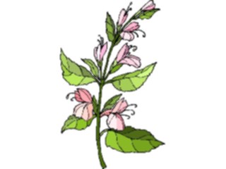 Sticker Custom Preview Image #103489 Plants Flowers Flowers Flower279