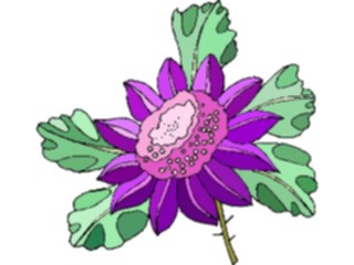 Sticker Custom Preview Image #103491 Plants Flowers Flowers Flower281