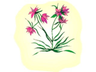 Sticker Custom Preview Image #103492 Plants Flowers Flowers Flower282