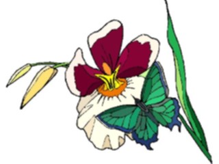 Sticker Custom Preview Image #103494 Plants Flowers Flowers Flower284