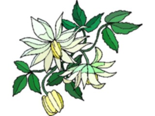 Sticker Custom Preview Image #103495 Plants Flowers Flowers Flower285