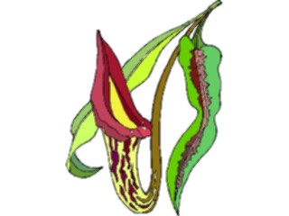 Sticker Custom Preview Image #103496 Plants Flowers Flowers Flower286