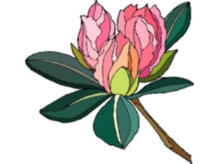 Sticker Custom Preview Image #103499 Plants Flowers Flowers Flower289