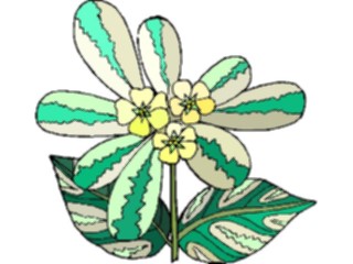 Sticker Custom Preview Image #103500 Plants Flowers Flowers Flower290