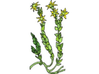 Sticker Custom Preview Image #103502 Plants Flowers Flowers Flower292