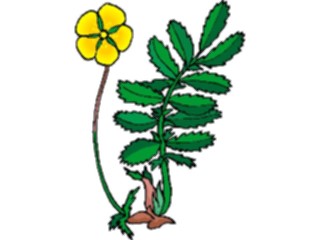 Sticker Custom Preview Image #103503 Plants Flowers Flowers Flower293