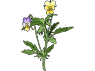 Sticker Custom Preview Image #103517 Plants Flowers Flowers Flower307