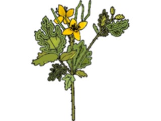 Sticker Custom Preview Image #103518 Plants Flowers Flowers Flower308