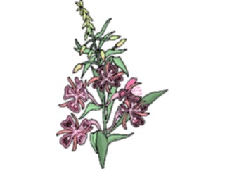 Sticker Custom Preview Image #103519 Plants Flowers Flowers Flower309