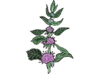 Sticker Custom Preview Image #103521 Plants Flowers Flowers Flower311