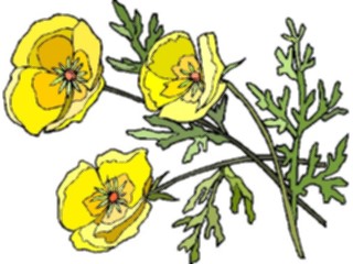 Sticker Custom Preview Image #103524 Plants Flowers Flowers Flower314