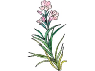 Sticker Custom Preview Image #103525 Plants Flowers Flowers Flower315