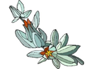 Sticker Custom Preview Image #103526 Plants Flowers Flowers Flower316