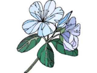 Sticker Custom Preview Image #103528 Plants Flowers Flowers Flower318