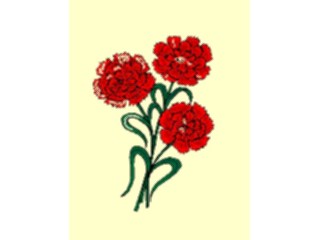 Sticker Custom Preview Image #103530 Plants Flowers Flowers Flower320