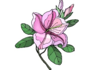 Sticker Custom Preview Image #103532 Plants Flowers Flowers Flower322